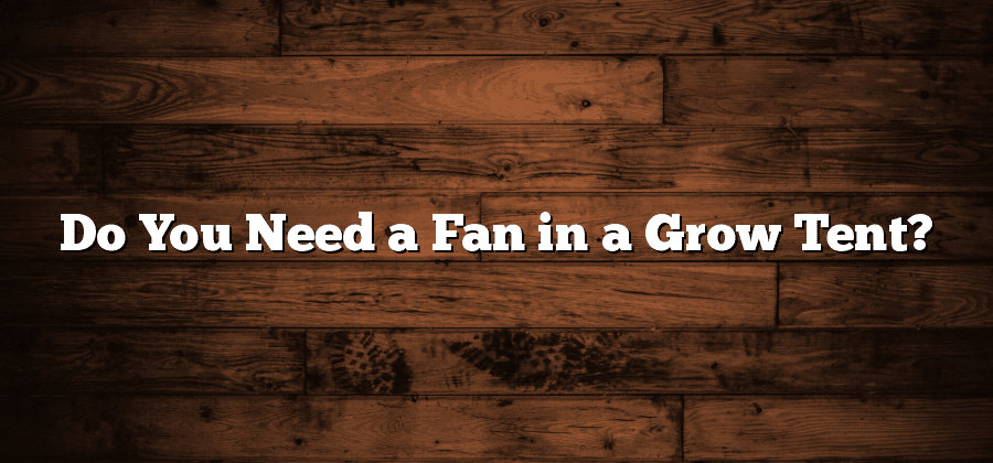 Do You Need a Fan in a Grow Tent?