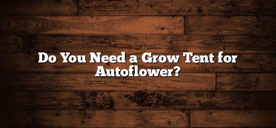 Do You Need a Grow Tent for Autoflower?