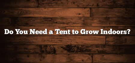 Do You Need a Tent to Grow Indoors?