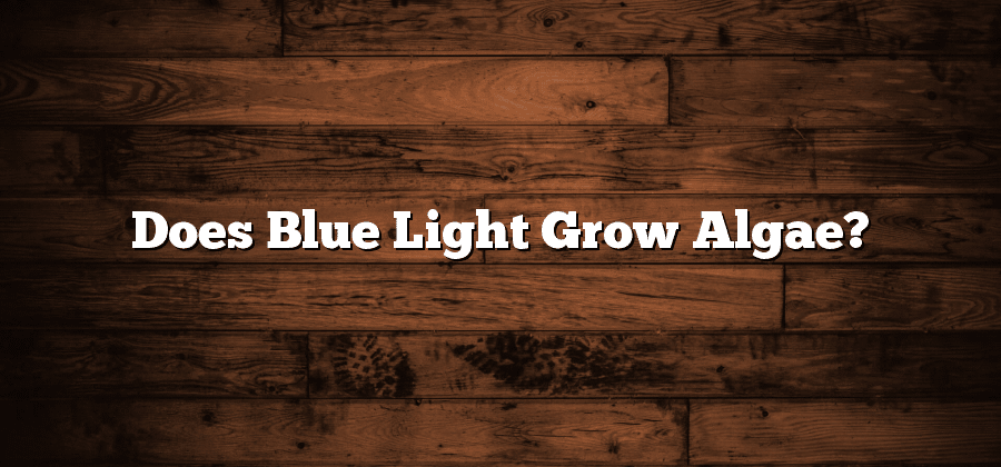Does Blue Light Grow Algae?