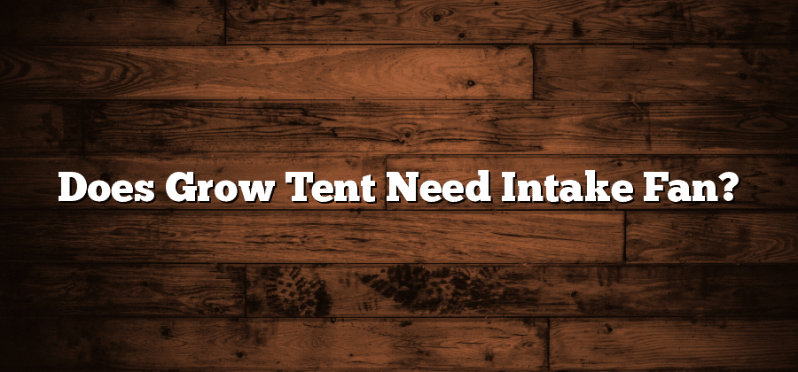 Does Grow Tent Need Intake Fan?