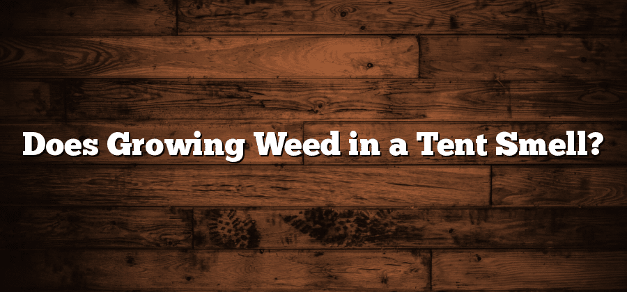 Does Growing Weed in a Tent Smell?