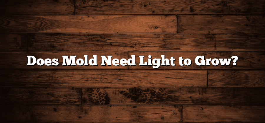 Does Mold Need Light to Grow?