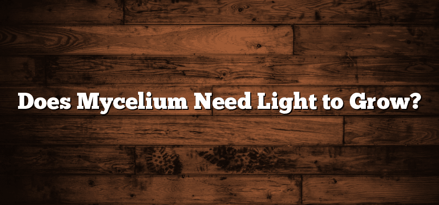 Does Mycelium Need Light to Grow?