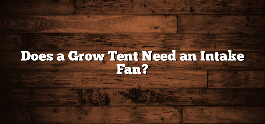 Does a Grow Tent Need an Intake Fan?
