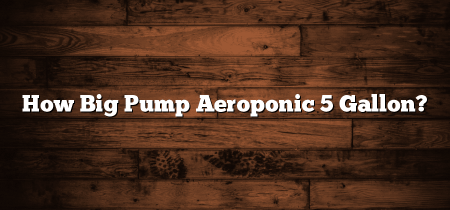 How Big Pump Aeroponic 5 Gallon?