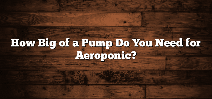 How Big of a Pump Do You Need for Aeroponic?