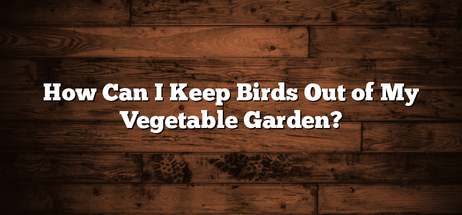 How Can I Keep Birds Out of My Vegetable Garden?