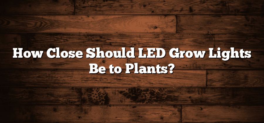 How Close Should LED Grow Lights Be to Plants?