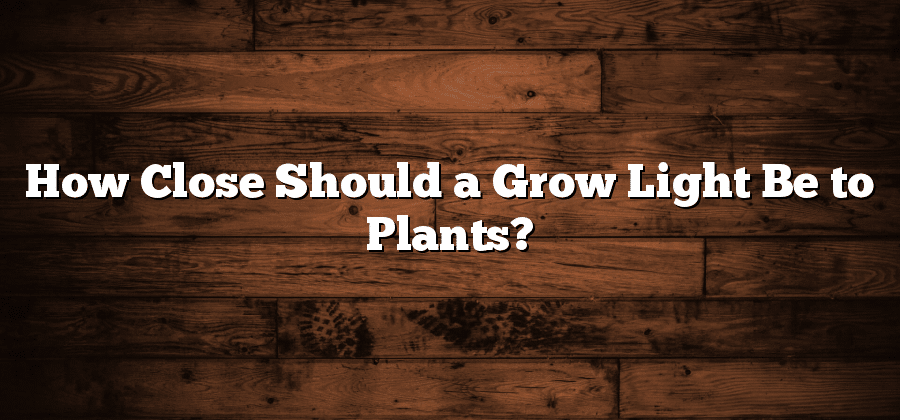 How Close Should a Grow Light Be to Plants?