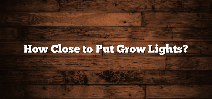 How Close to Put Grow Lights?