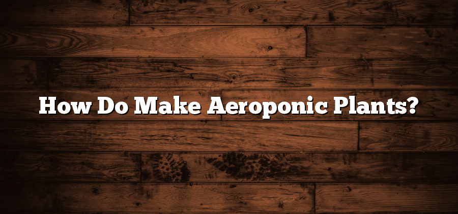 How Do Make Aeroponic Plants?