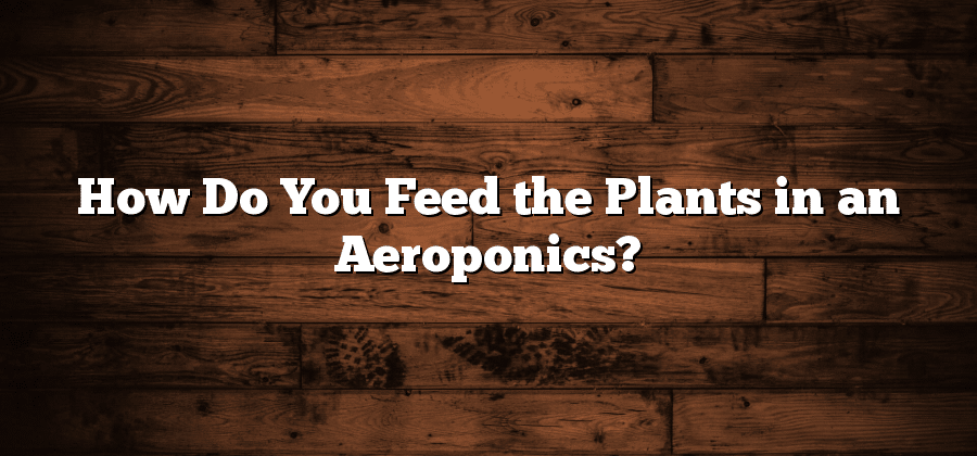 How Do You Feed the Plants in an Aeroponics?