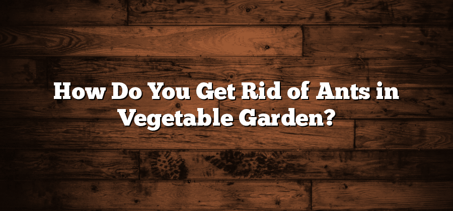 How Do You Get Rid of Ants in Vegetable Garden?