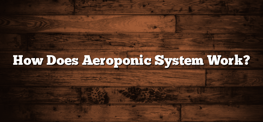 How Does Aeroponic System Work?