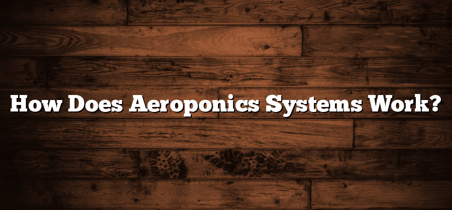 How Does Aeroponics Systems Work?