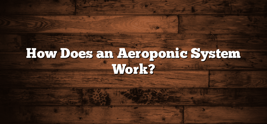 How Does an Aeroponic System Work?