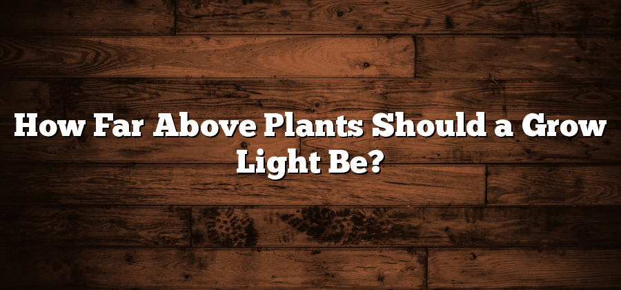 How Far Above Plants Should a Grow Light Be?