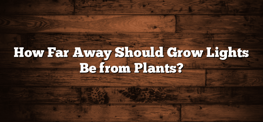 How Far Away Should Grow Lights Be from Plants?