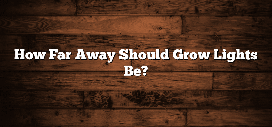 How Far Away Should Grow Lights Be?