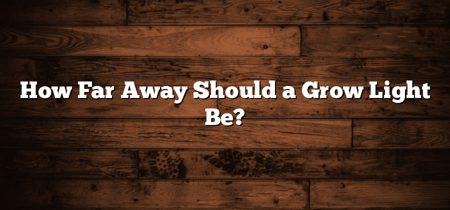 How Far Away Should a Grow Light Be?
