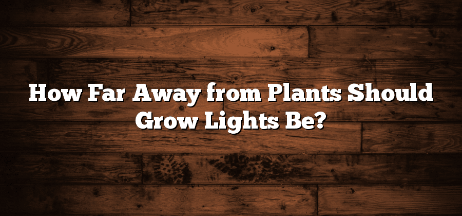 How Far Away from Plants Should Grow Lights Be?