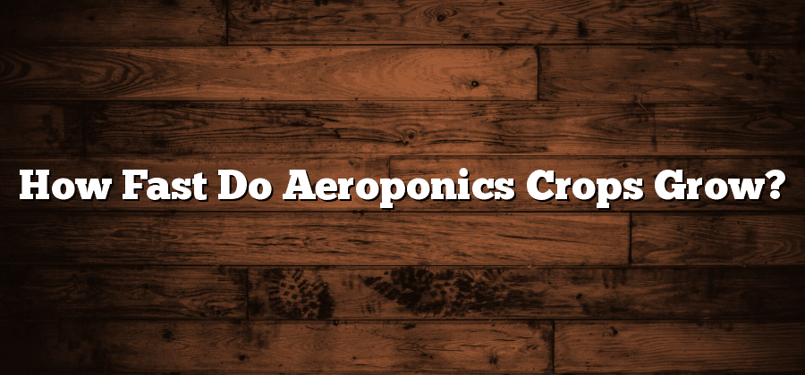 How Fast Do Aeroponics Crops Grow?