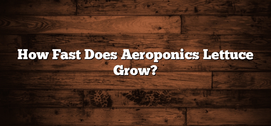 How Fast Does Aeroponics Lettuce Grow?