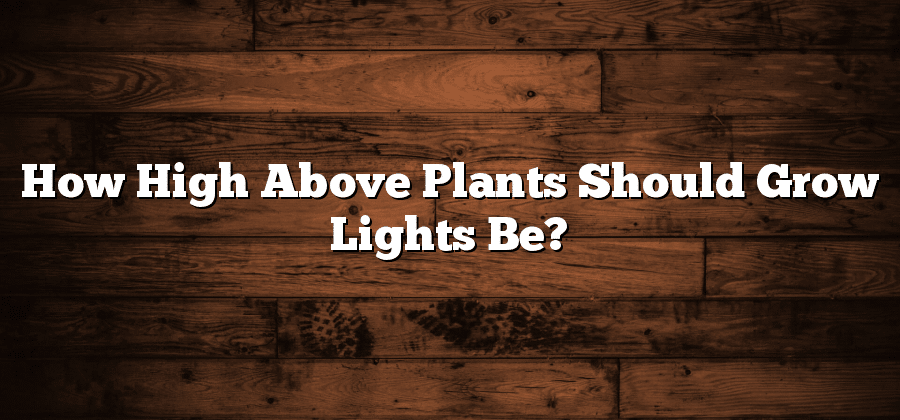 How High Above Plants Should Grow Lights Be?