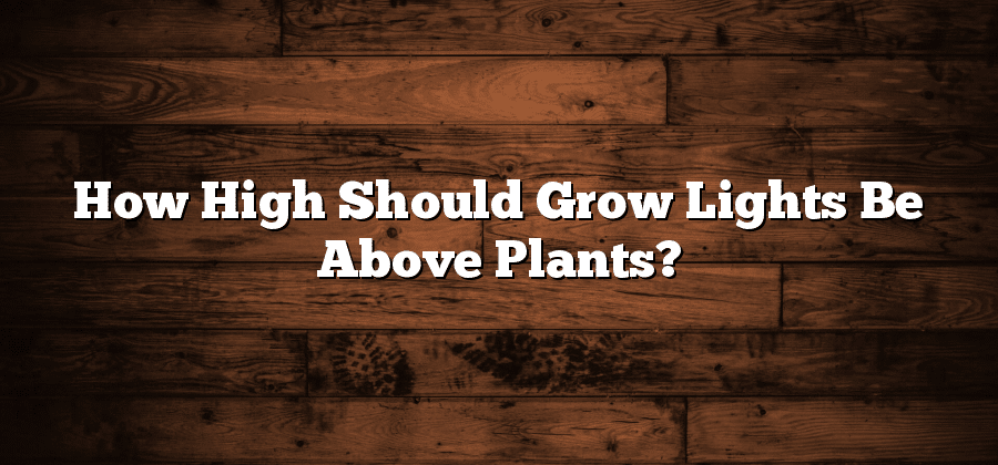 How High Should Grow Lights Be Above Plants?