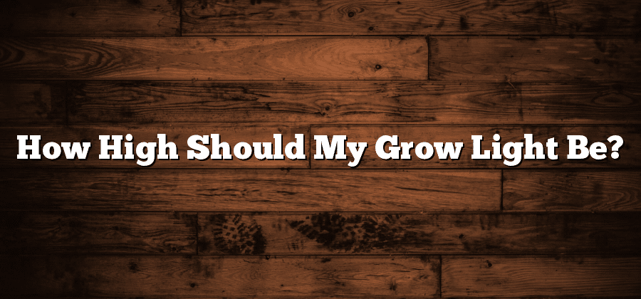 How High Should My Grow Light Be?