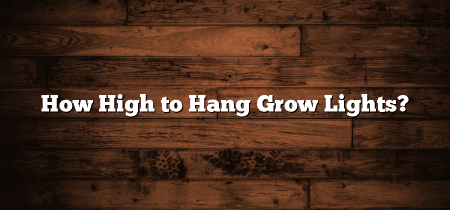 How High to Hang Grow Lights?