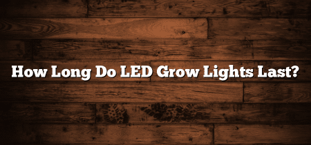 How Long Do LED Grow Lights Last?