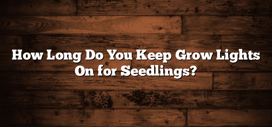 How Long Do You Keep Grow Lights On for Seedlings?