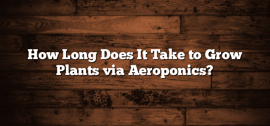 How Long Does It Take to Grow Plants via Aeroponics?