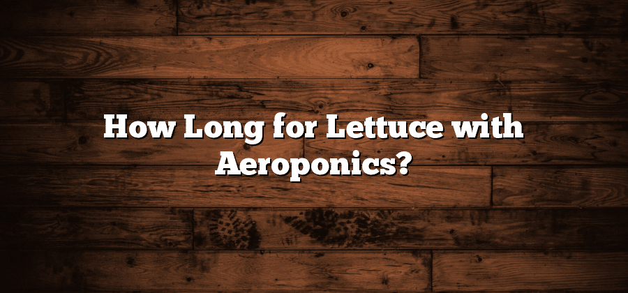 How Long for Lettuce with Aeroponics?