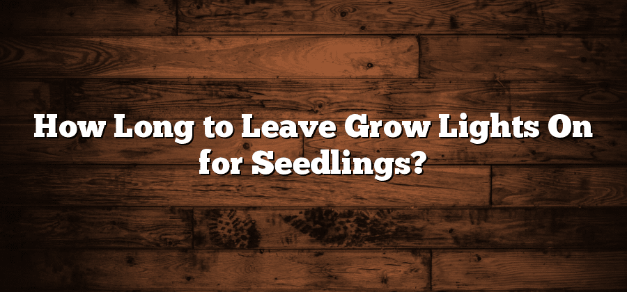 How Long to Leave Grow Lights On for Seedlings?