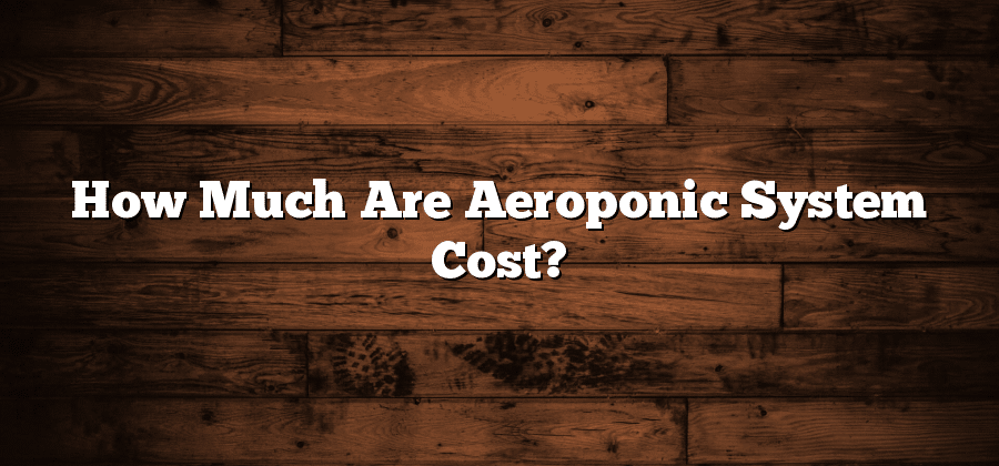 How Much Are Aeroponic System Cost?