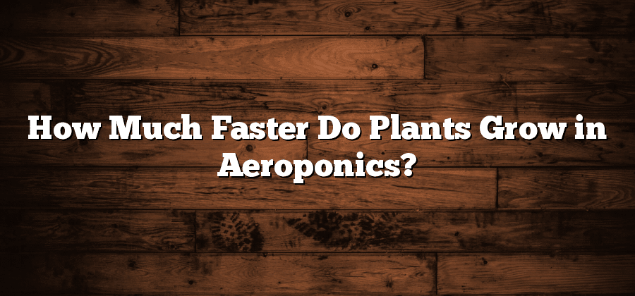 How Much Faster Do Plants Grow in Aeroponics?