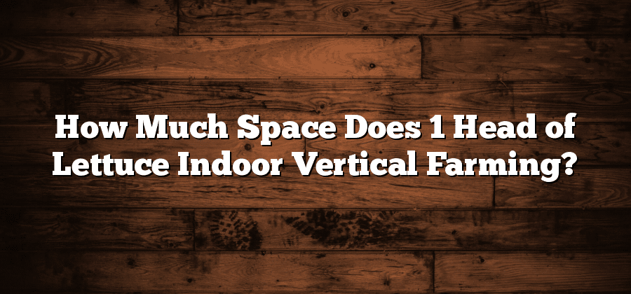 How Much Space Does 1 Head of Lettuce Indoor Vertical Farming?