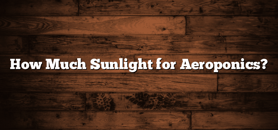 How Much Sunlight for Aeroponics?
