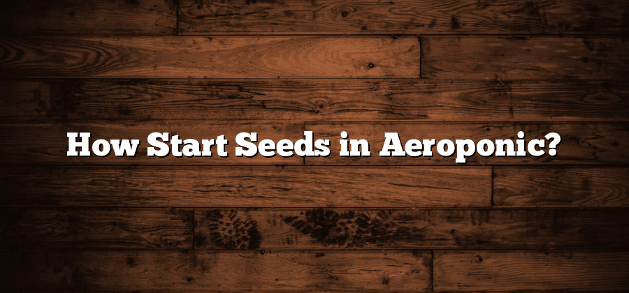 How Start Seeds in Aeroponic?
