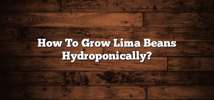 How To Grow Lima Beans Hydroponically?