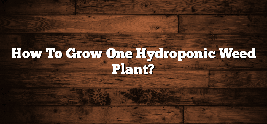 How To Grow One Hydroponic Weed Plant?