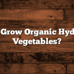 How To Grow Organic Hydroponic Vegetables?