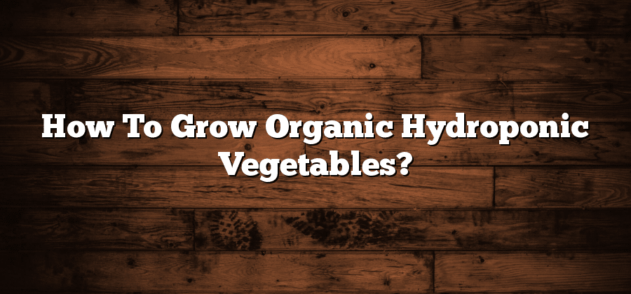 How To Grow Organic Hydroponic Vegetables?