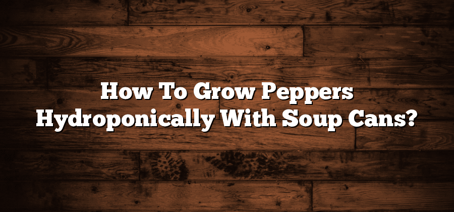 How To Grow Peppers Hydroponically With Soup Cans?