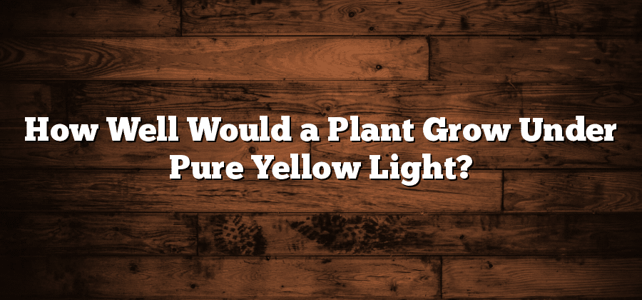How Well Would a Plant Grow Under Pure Yellow Light?