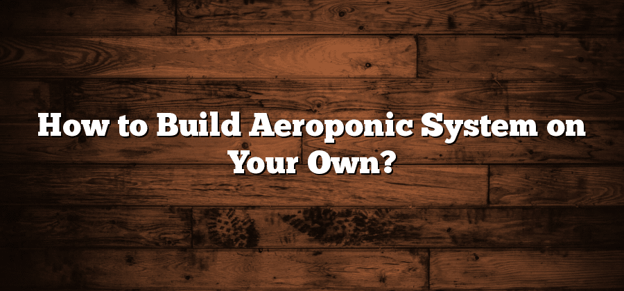How to Build Aeroponic System on Your Own?