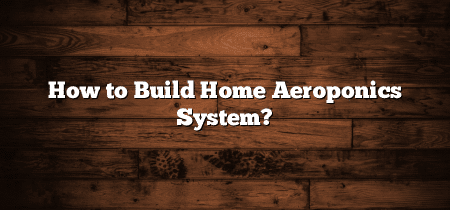 How to Build Home Aeroponics System?